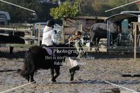 watermarkPhoto-1 4